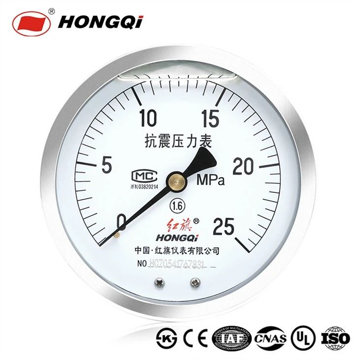 Kejl tal-Pressjoni tas-Servizz Industrijali hongqi 100mm (4") 1/2 "Internals Sħaħ ta 'l-Azzar li ma jissaddadx NPT