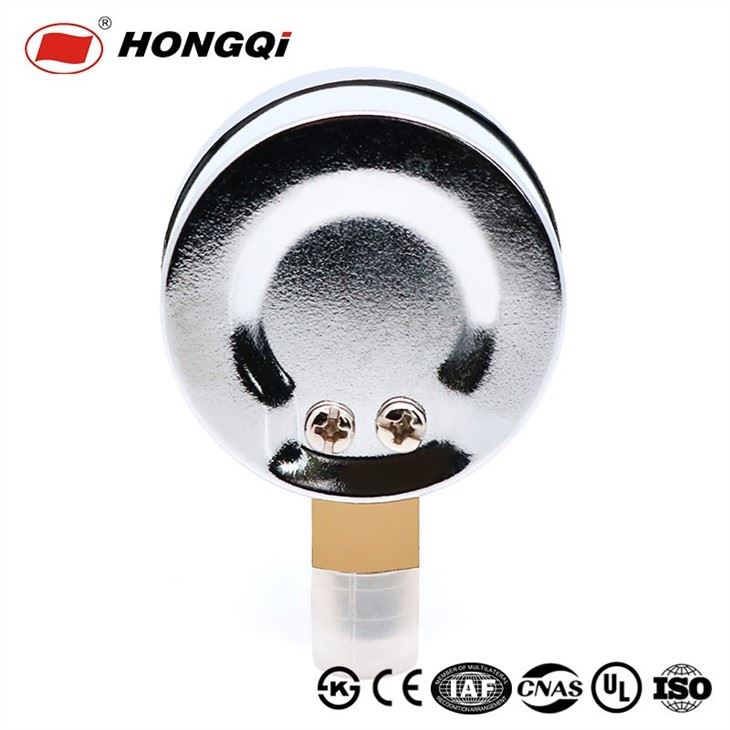 Steam pressure gauge